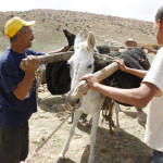 Una familia de nomadas bereberes del Atlas desmontando sus haimas