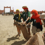 Mercado de camellos de Guelmin