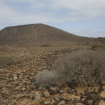 ERS 2016. Visita al parque natural de la Isla de Lobos, Fuerteventura.